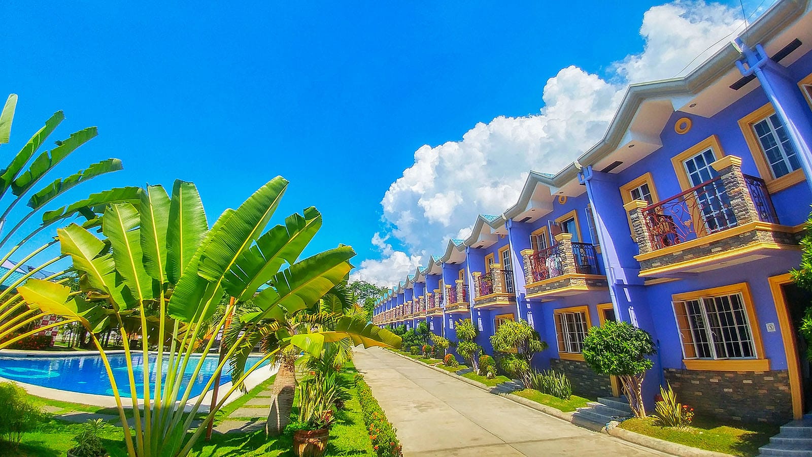 Trường Anh Ngữ CG