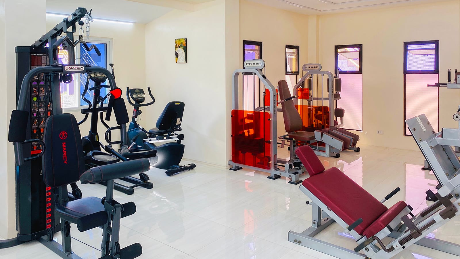 Trường Anh Ngữ CG Academy
