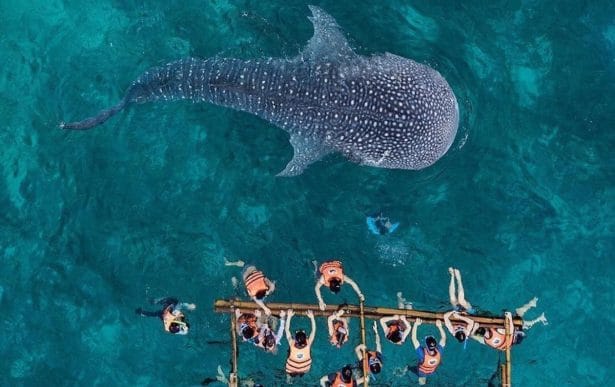 thanh-pho-cebu-philippines