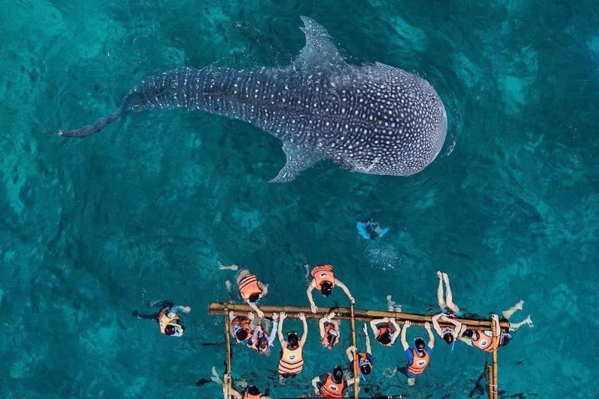 Thanh Pho Cebu Philippines
