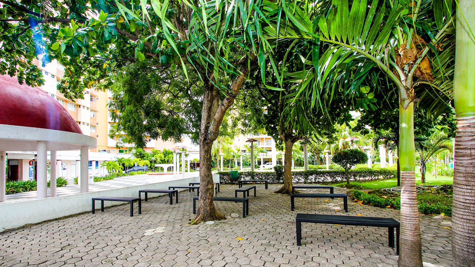 Trường Anh ngữ Cebu Blue Ocean10