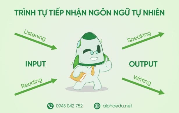 Input - Drill - Output