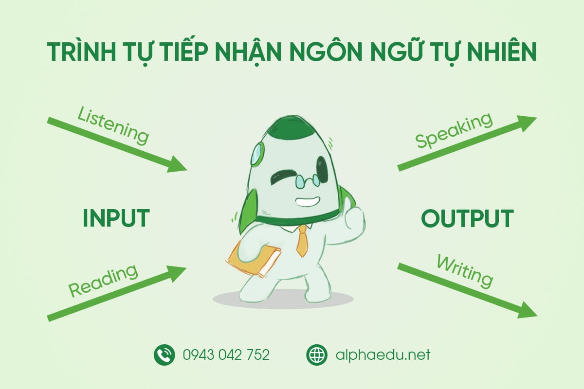 Input - Drill - Output